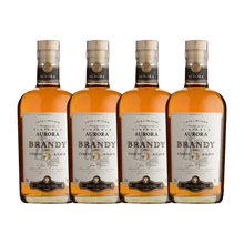 Brandy-5-Anos.png