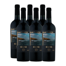Olas-y-Vientos-Reserva-Tannat.png