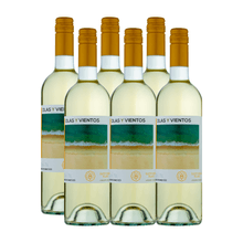 Olas-y-Vientos-Sauvignon-Blanc.png