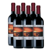 Olas-y-Vientos-Cabernet-Sauvignon.png