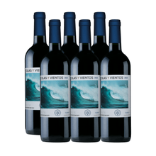 Olas-y-Vientos-Tannat.png